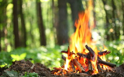 A Beginner’s Guide to Building a Campfire