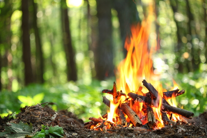 A Beginner’s Guide to Building a Campfire