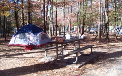 6 Easy Tips for Keeping Your Campsite Clean