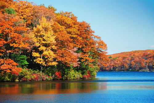 Top Reasons to Go Camping in the Fall